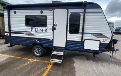 Don’s Palomina Puma (Member Spotlight!)