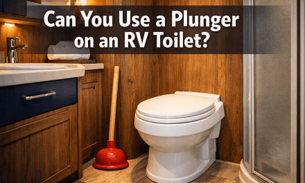 Can you use a Plunger on an RV Toilet?