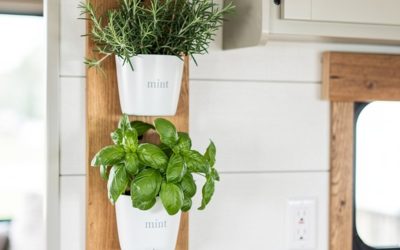10 Plant Decorating Ideas for Your RV