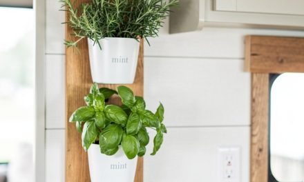 10 Plant Decorating Ideas for Your RV