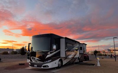 Retirement, Route 66 & Royalty on Four Legs (Member Spotlight)