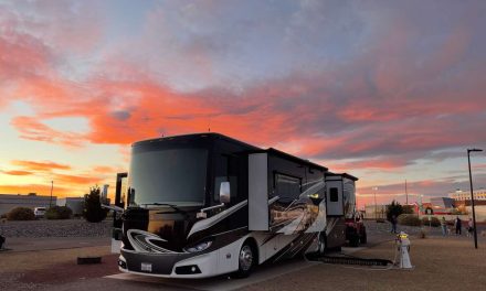 Retirement, Route 66 & Royalty on Four Legs (Member Spotlight)